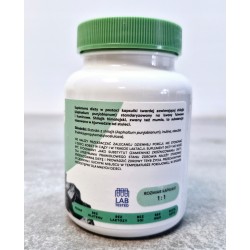 Shilajit Himalajski 500 mg Mumio kapsułki 60 szt Energia Witalność Siła