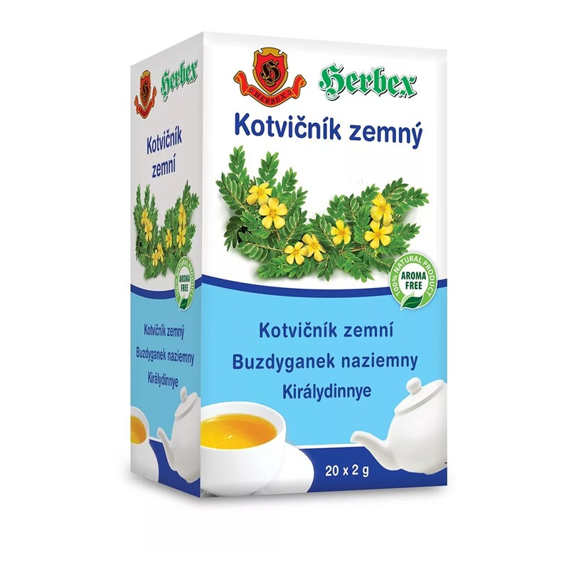 Buzdyganek naziemny Herbex 20x2 g, suplement diety