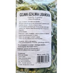 Astron Gojnik PREMIUM herbata ziołowa 100 SZAŁWIA LIBAŃSKA ODPORNOŚĆ