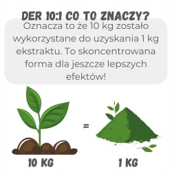 Preparat PASOUT COMPLEX  wrotycz 100 ml