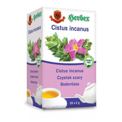 Czystek szary Cistus incanus Herbex 20x2 g, suplement diety
