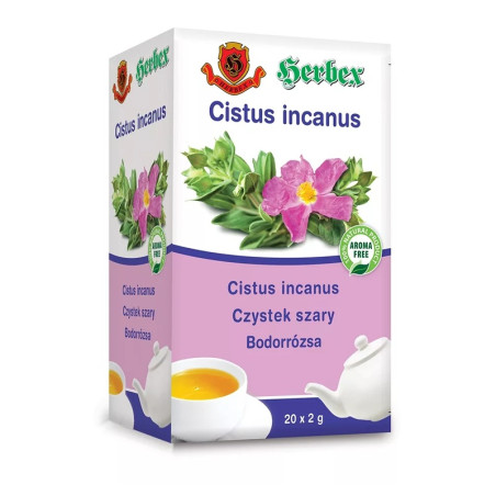 Czystek szary Cistus incanus Herbex 20x2 g, suplement diety