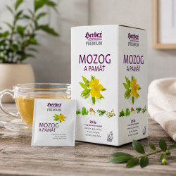 Mózg i Pamięć Herbex, miłorząb i żeń-szeń, suplement 20x1,5 g
