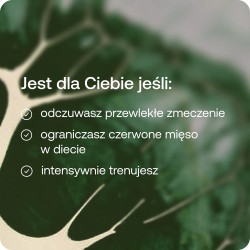 Żelazo chelat z witaminą C ForMeds BICAPS Ferr C chelate