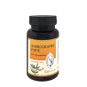 Andrographis Forte 60 kapsułek, 20% andrografolidów