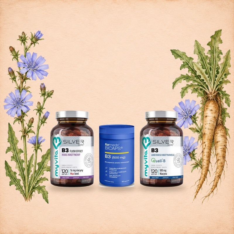 Niacyna, witamina B3: MyVita Silver Niacyna Forte 16 mg (kwas nikotynowy) i 500 mg (amid kwasu nikotynowego) oraz ForMeds BICAPS B3 wśród akwarelowej cykorii podróżnik z niebieskimi kwiatami