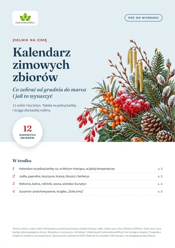 Okładka PDF: Kalendarz zimowych zbiorów. Co zebrać od grudnia do marca